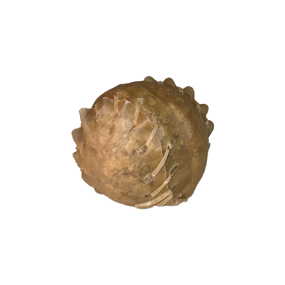 חטיף כדור בייסבול 2" (20 יח' במארז) 1 יחידה