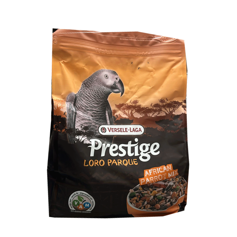 תוכי גדול גאקו אפריקה 2.5 קילוגרם