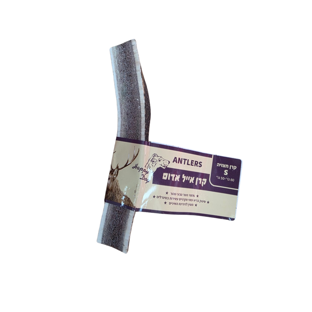 קרן אייל חצויה S