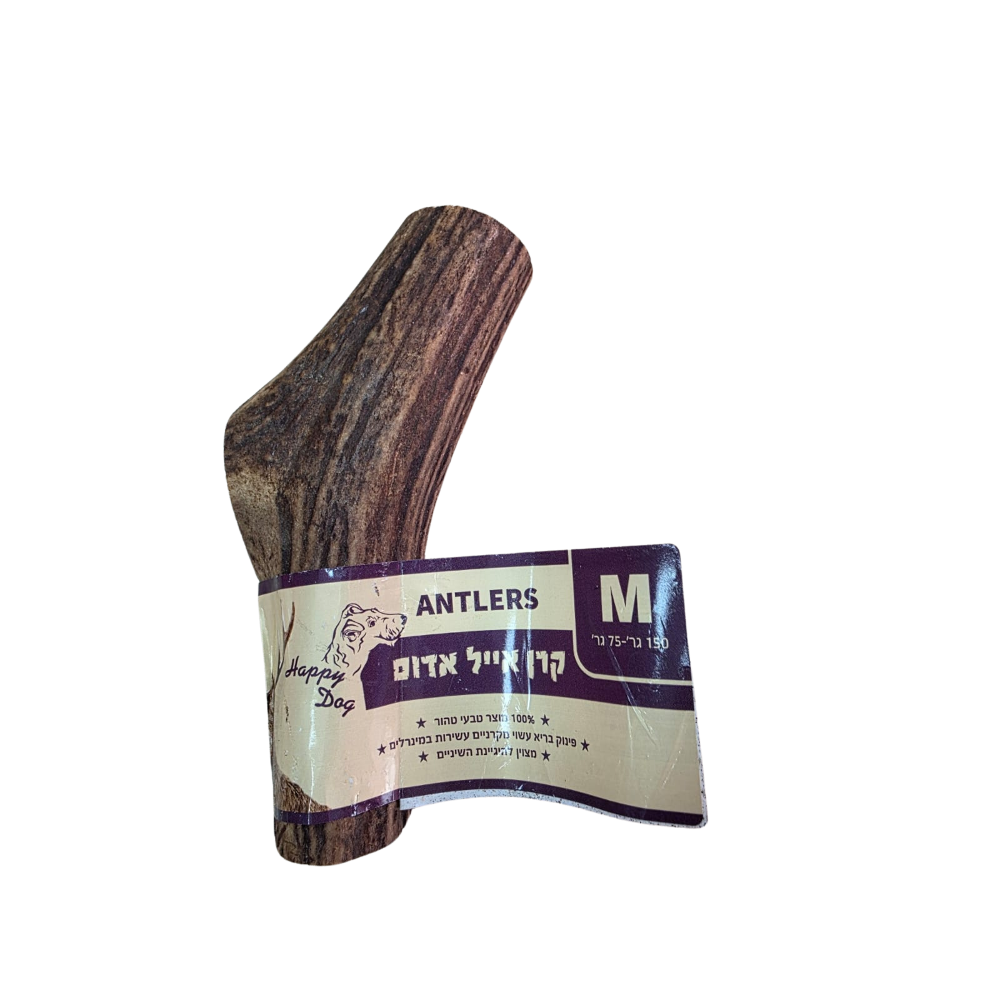 קרן אייל אדום M