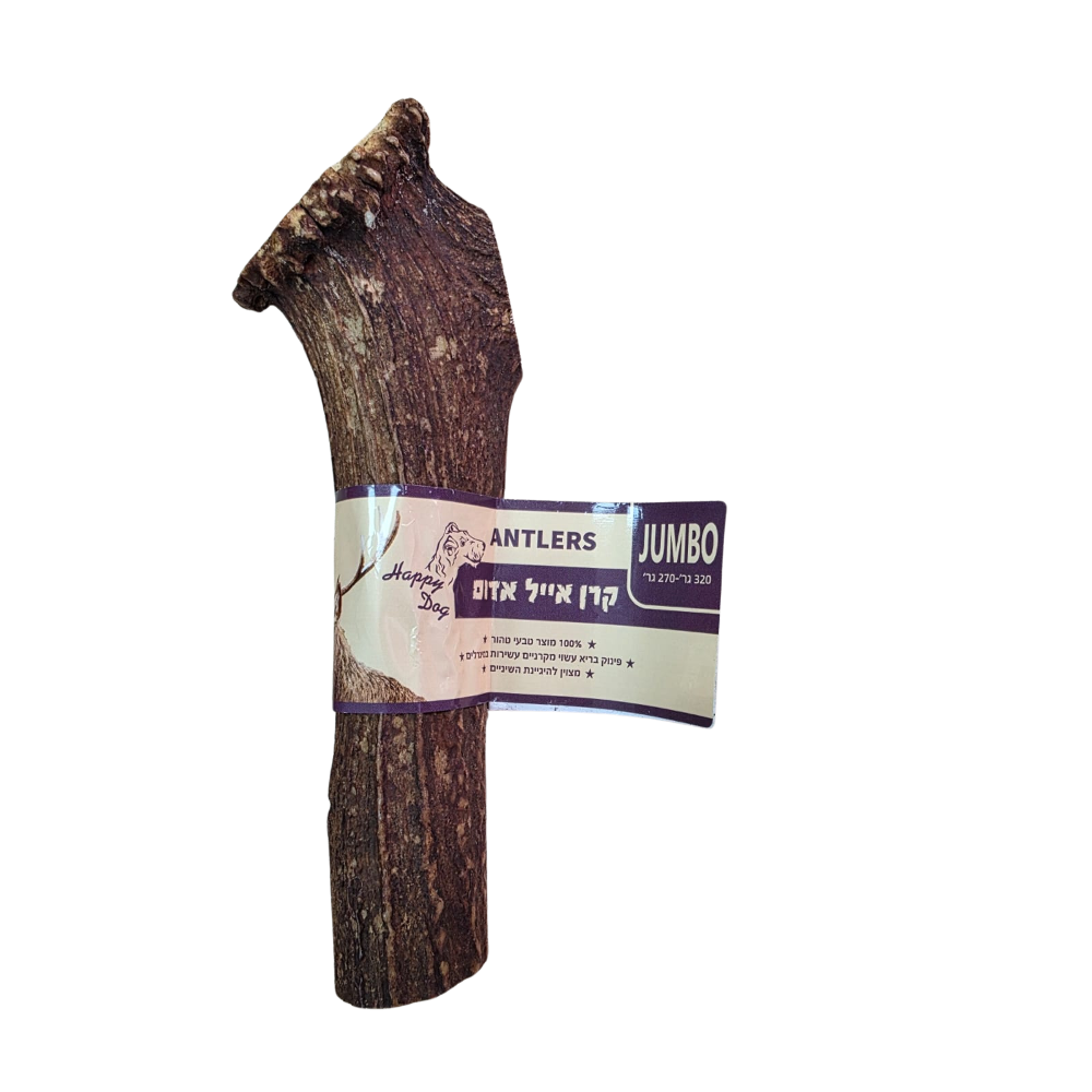 קרן אייל אדום JUMBO