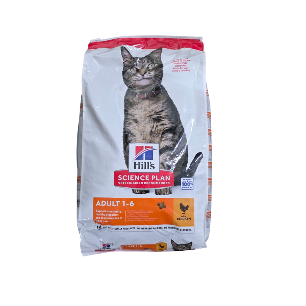 הילס חתול בוגר עוף 15 קילוגרם