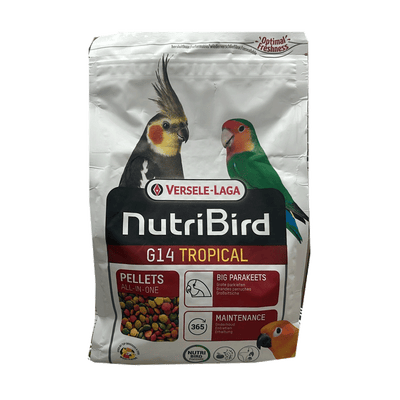 תוכי בינוני G14 טרופי 1 קילוגרם