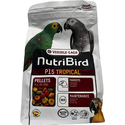 תוכי גדול טרופי P15 1 קילוגרם