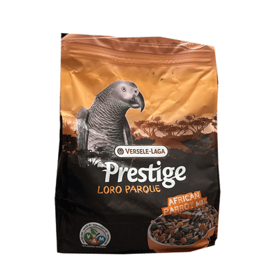 תוכי גדול גאקו אפריקה 2.5 קילוגרם