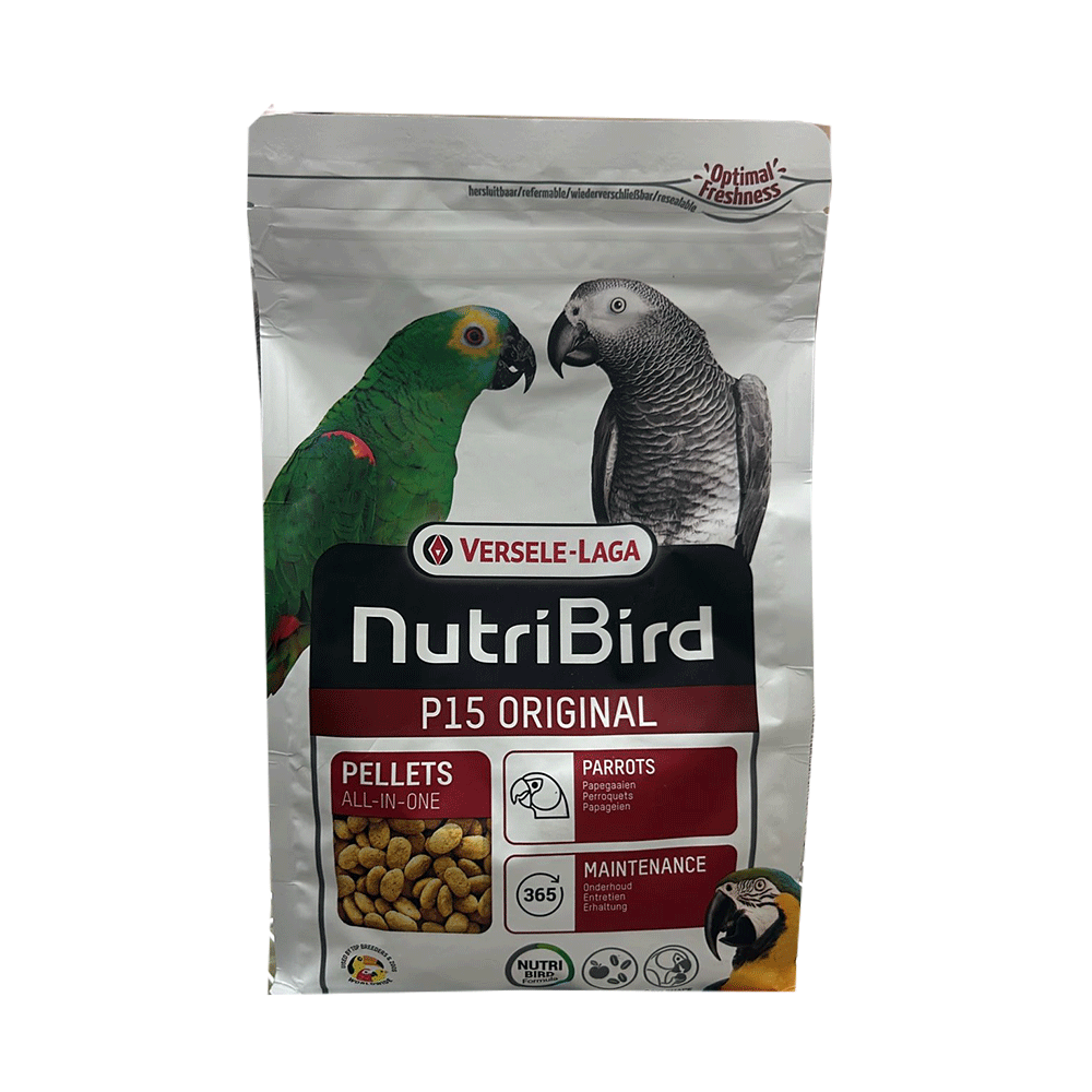 תוכי גדול P15 1 קילוגרם