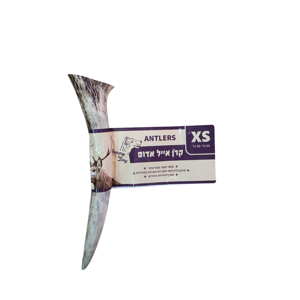 קרן אייל אדום XS