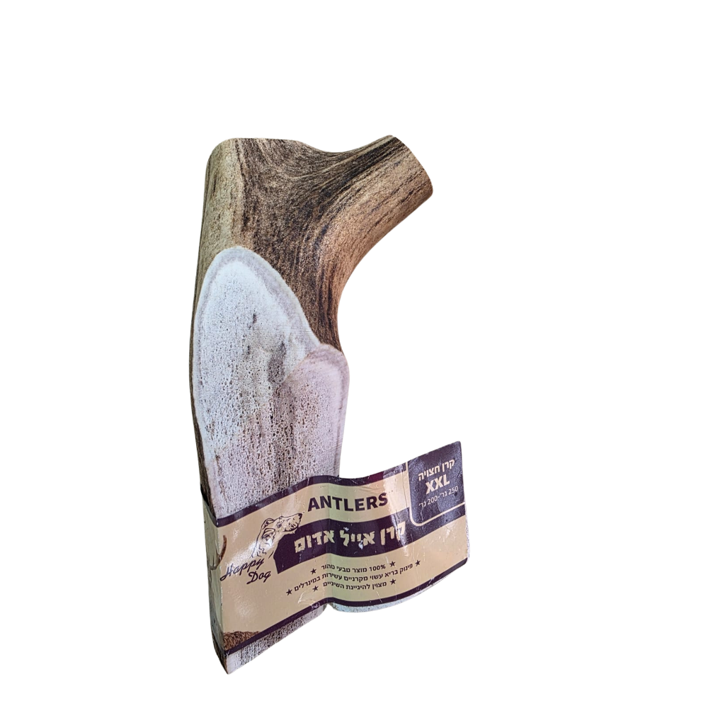 קרן אייל חצויה XXL