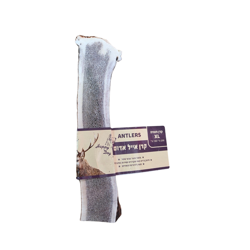 קרן אייל חצויה XL