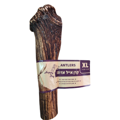 קרן אייל אדום XL