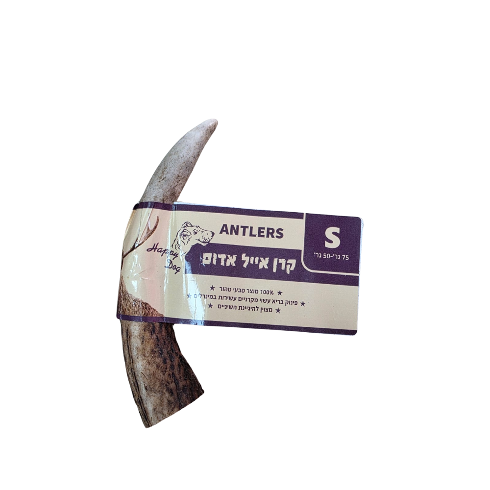 קרן אייל אדום S