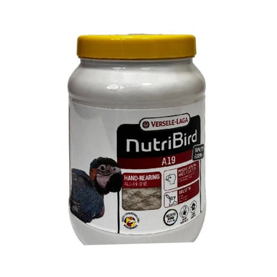 האכלת יד A19 תוכי גדול 800 גרם בקופסה